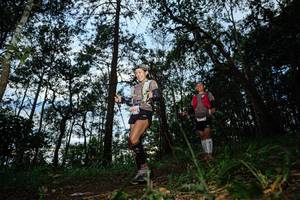 BIB: 
                            <button type="button" onclick="openModal(22477651)" class="btn btn-primary btn-sm float-right btn-popup" data-toggle="modal" data-target=".modal-high-quality">
                        <i class="fas fa-shopping-cart"></i> Add to Cart
                    </button>
                                            <button type="button" onclick="isThisMe(22477651, true)" class="btn btn-success btn-sm float-right btn-popup btn-isme hidden" data-toggle="tooltip" data-placement="bottom" title="นี่คือรูปของคุณใช่ไหม คลิกที่นี่เพื่อเอาเข้าอัลบั้ม">
                        <i class="fas fa-plus"></i> Add to album
                    </button>
                    <button type="button" onclick="isThisMe(22477651, false)" class="btn btn-warning btn-sm float-right btn-popup btn-isnotme hidden">
                        <i class="fas fa-ban"></i> Remove from album
                    </button>